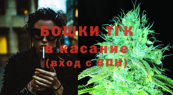 индика Магас