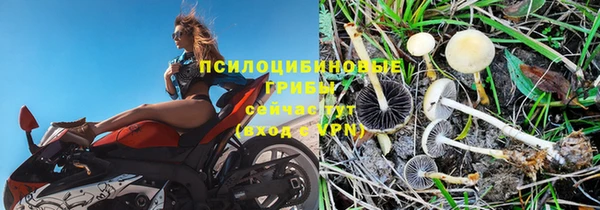 индика Магас