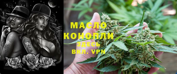 индика Магас