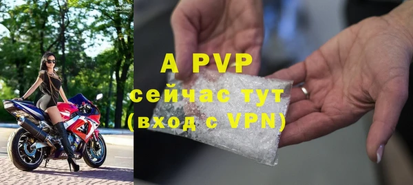 индика Магас