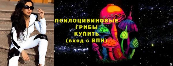 индика Магас