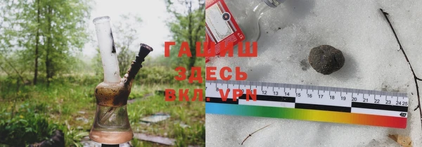 индика Магас