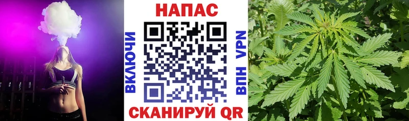 Конопля планчик  Купить где  Крымск 